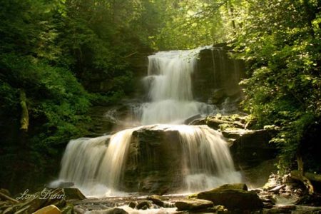 A Gift From Nature Image